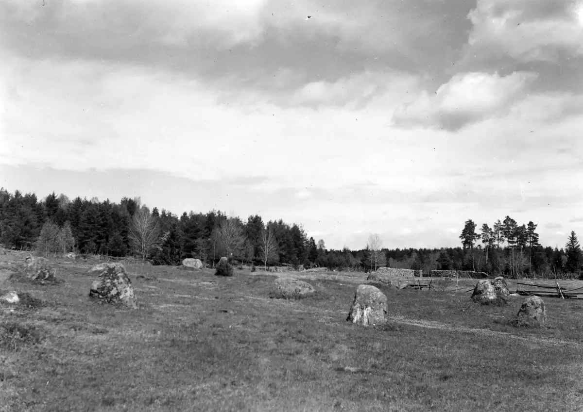 Nr 109:48. Domarring på gravfält vid Viads ladugård. Foto från SSV.