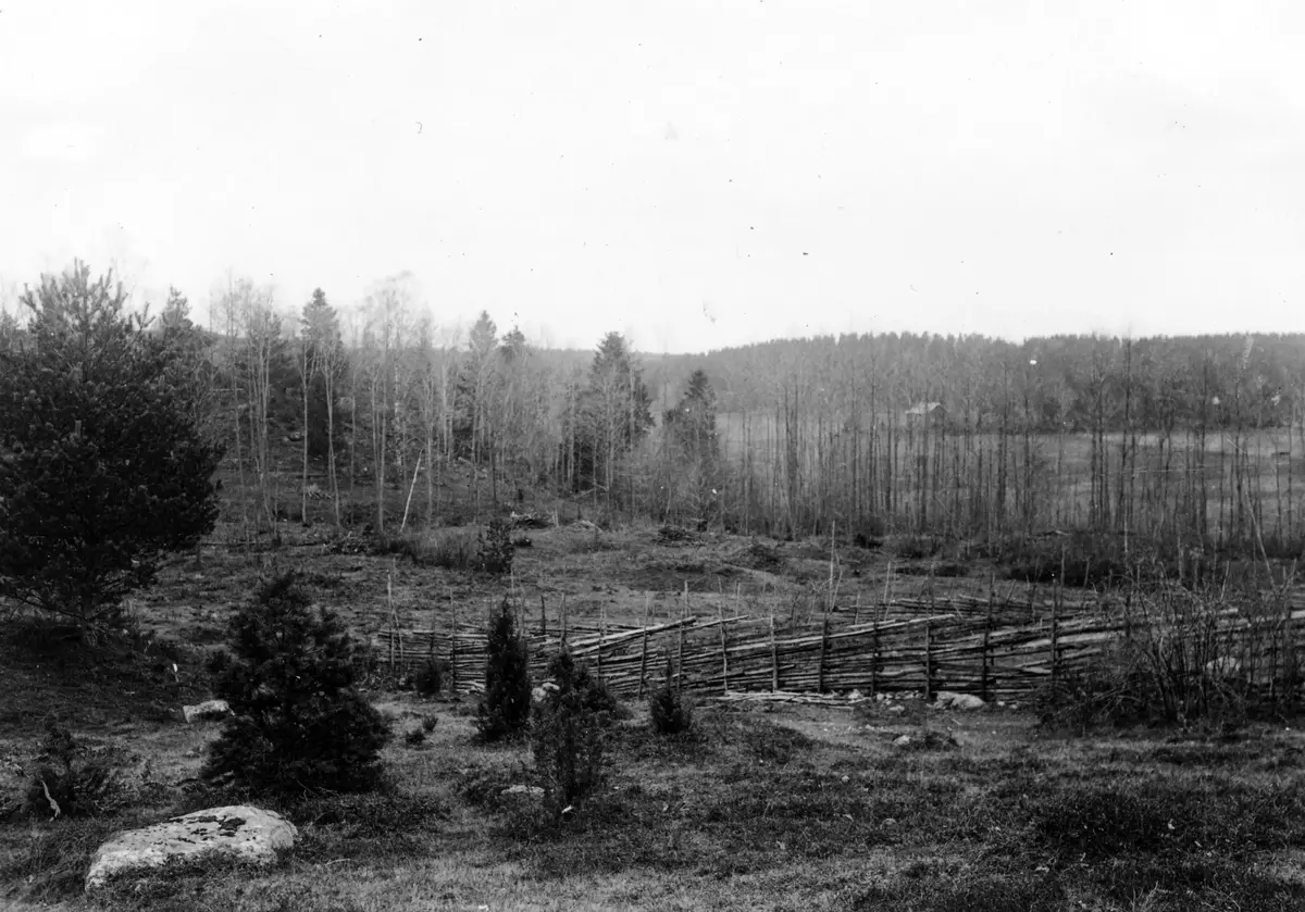 Nr 109:48. Domarring på gravfält vid Viads ladugård; från stensättning nr 63. Foto från N.