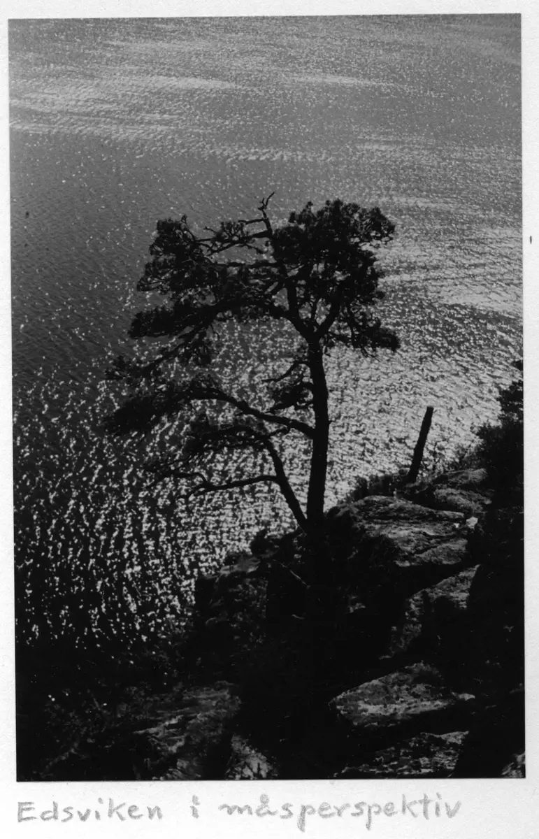 Album från Anders Classons samling
