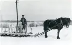 Norberg.
Arvid Ålund med dottern Margareta samt hästsläde, 1945.