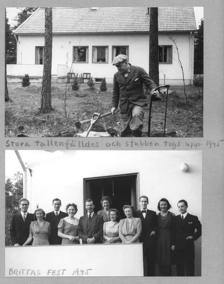 Trädfällning och fest år 1945. Sida ur fotoalbum.
"Stora tallen fälldes och stubben togs upp 1945" och "Brittas fest 1945"
Bildsida med två bilder ur album från Anders Classons samling
