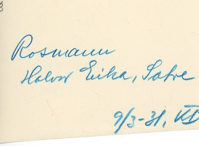 Oksen Rossmann, eigar Halvor Eika, Sætre.  Tatt 9.3.1931.