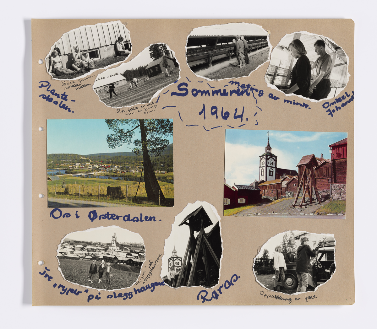 Albumet inneholder barnebilder av Synnøve Brænsdhøi sin datter Mette Digerud Brænsdhøi i alderen 7 til 16 år (1954 - 1965).  

Avbildet personer: Mette Digerud Brændsøi, Synnøve Brænsdhøi, Knut Kristian Brændshøi, Kari Brændsøi, .