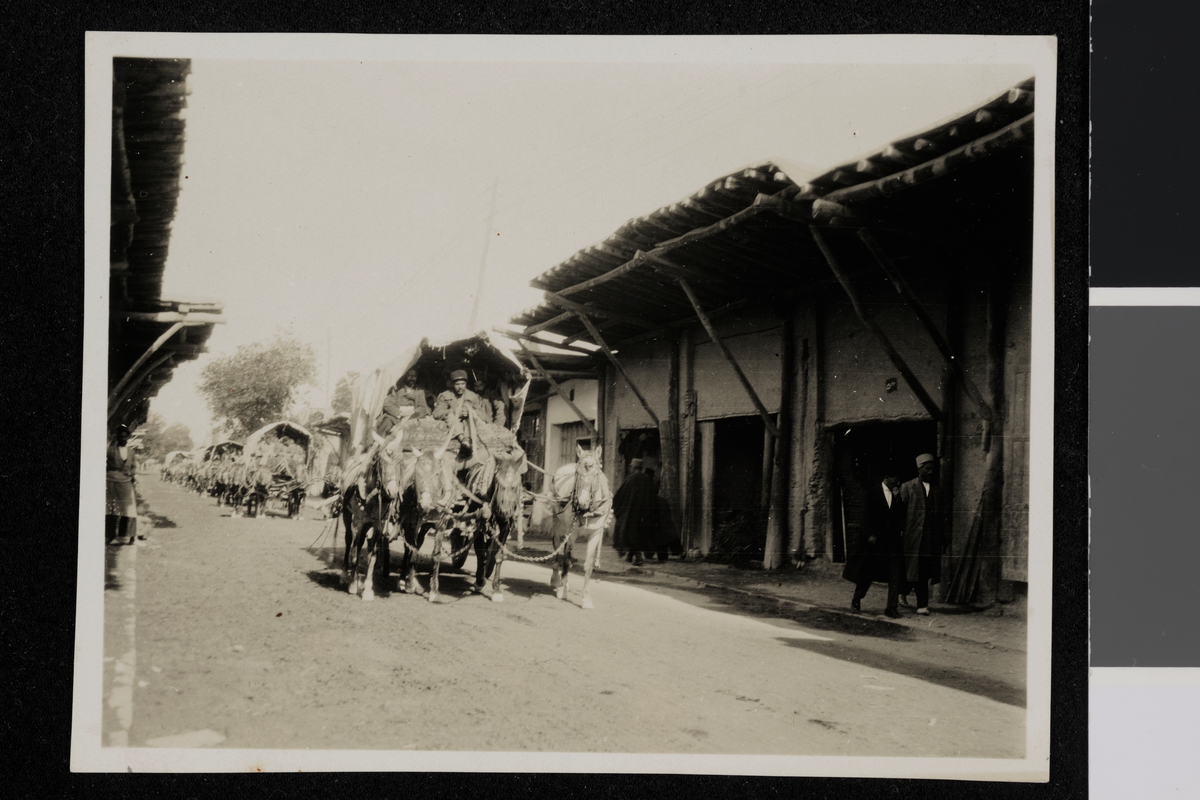 Teppetransport fra Hamadan. Karavan av hester med vogner. Russiske innflyttere til Iran. Fotografier tatt av/ samlet inn av Elisabeth Meyer fra reise til Iran 1929.