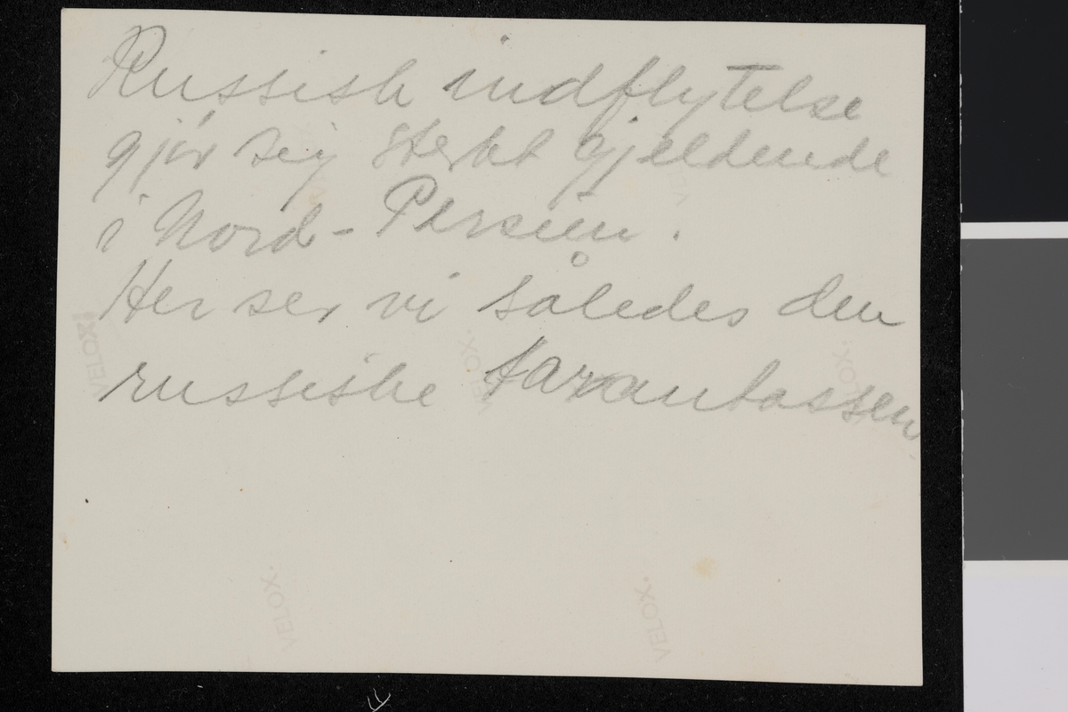 Teppetransport fra Hamadan. Karavan av hester med vogner. Russiske innflyttere til Iran. Fotografier tatt av/ samlet inn av Elisabeth Meyer fra reise til Iran 1929.