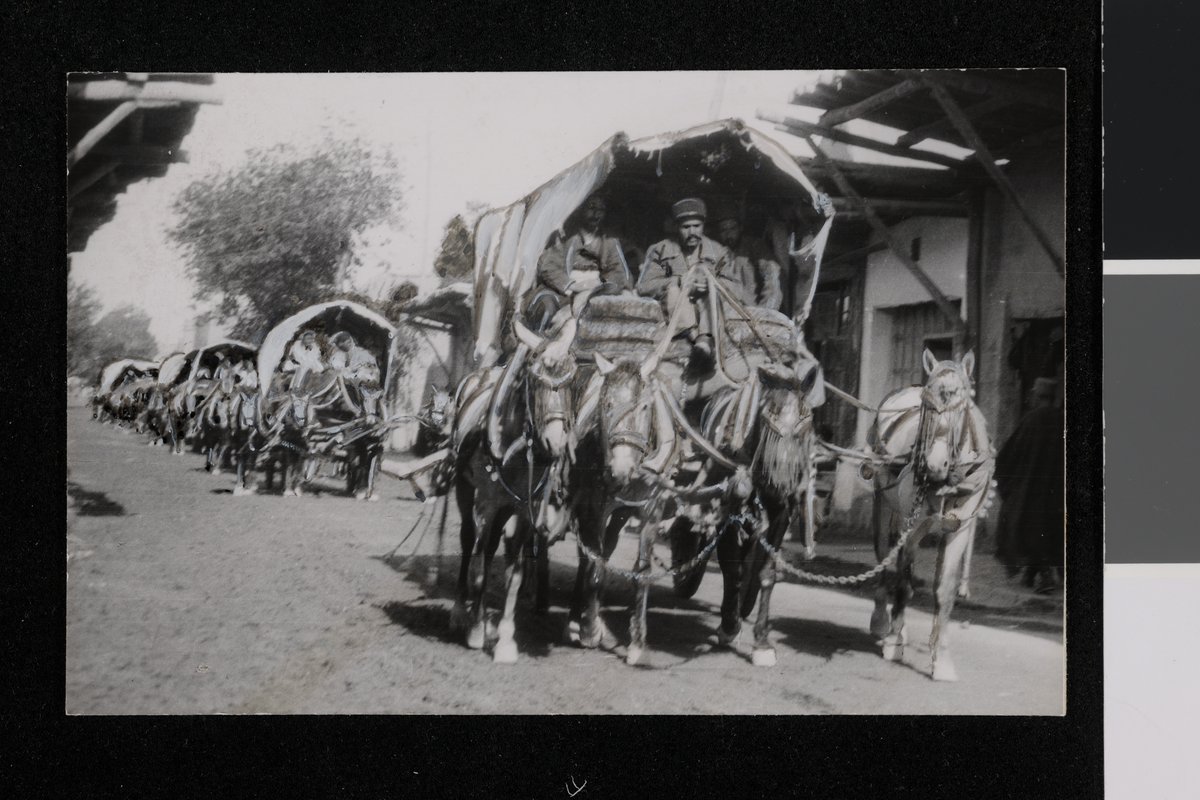 Teppetransport fra Hamadan. Karavan av hester med vogner. Russiske innflyttere til Iran. Fotografier tatt av/ samlet inn av Elisabeth Meyer fra reise til Iran 1929.
