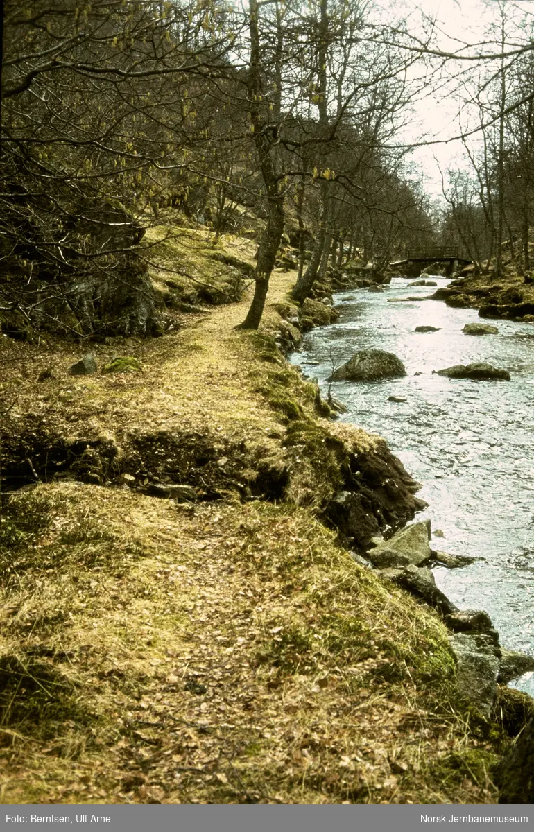 Trase etter Koldalsbanen, en tidligere hestejernbane for utskiping av malm fra Koldal til Skjevollsviken ved kysten