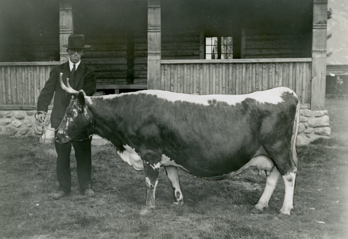 Staslin presentert av Eivind O. Djuve, Seljord.  Eigar Håkon Djuve.  Bilde tatt 12.9.1933.