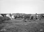 Nedslag vid tältförläggning i samband med mobilisering år 1900. Platsen är Stora Åby i trakten av Malmens övningsfält.