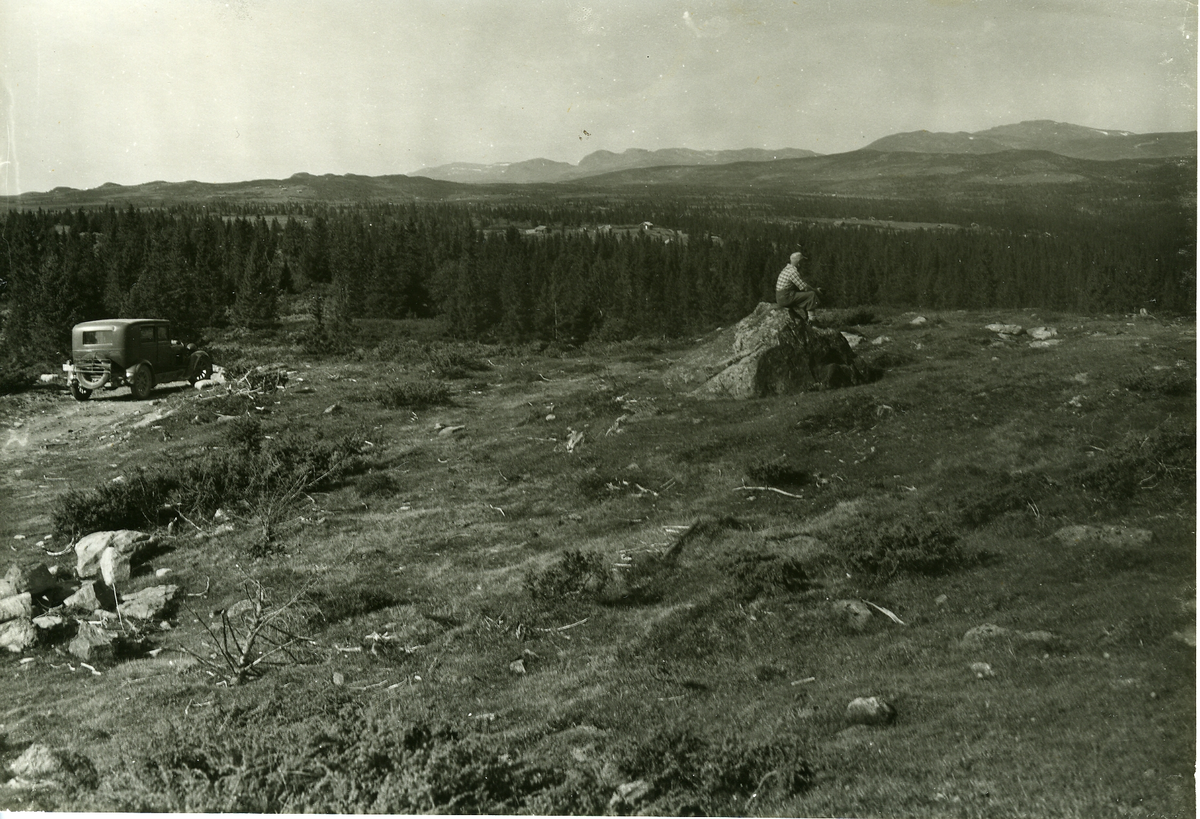 Fjellandskap
Fjellpartil Smylistølen i Gol
