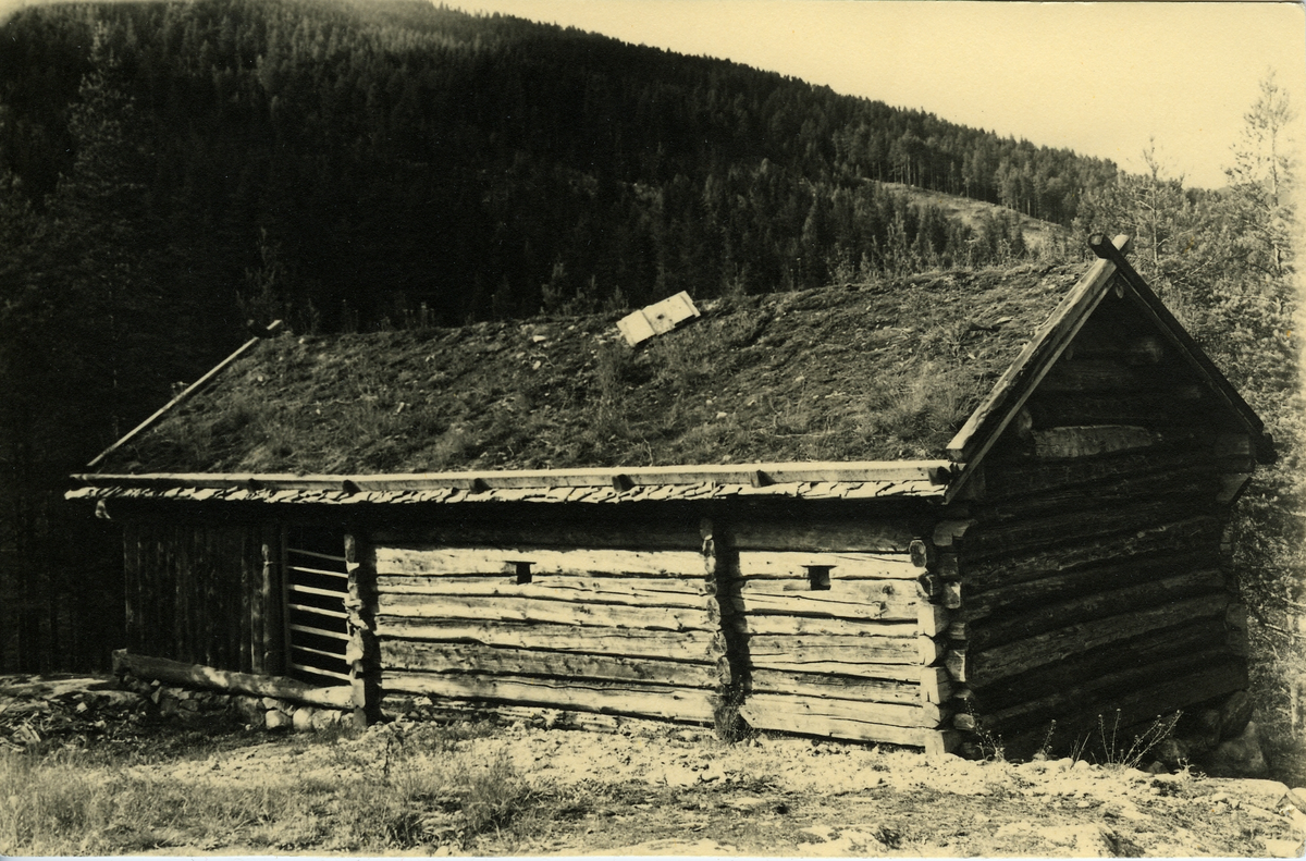 Gammel seterbu. Årebu fra Fluto  på Liodden. Grønnlien heimstøl. Seterbua står i dag på Hallingdal Museum, Nesbyen.
