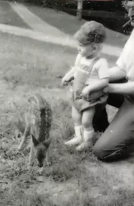 Rådjurskid och barn i Nyckelviken år 1958. 