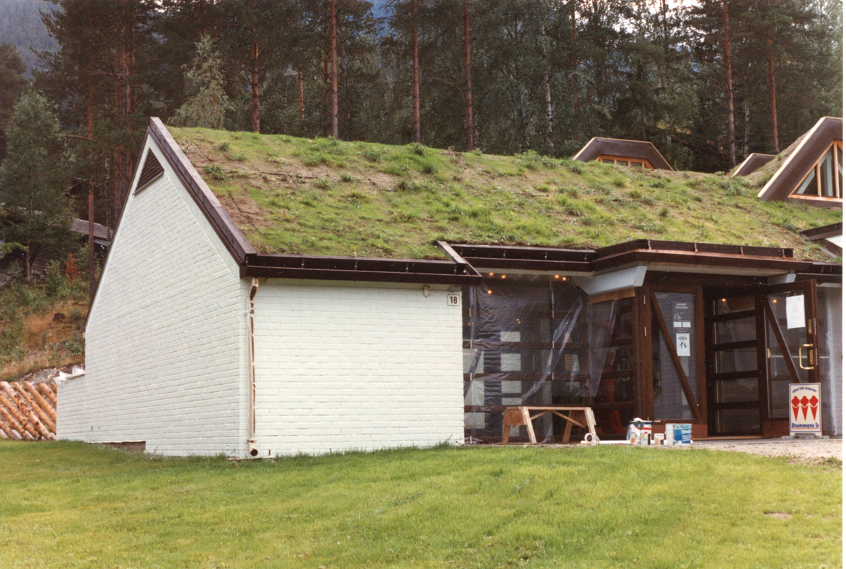 Hallingdal Museum, Nesbyen
