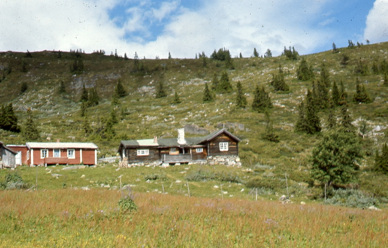 Grønhovd fjellgard
