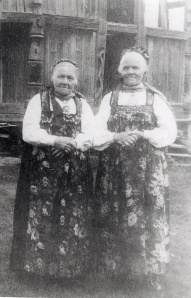 2 damer på Ødegård farm -Hallingdal museum fotosamling / DigitaltMuseum