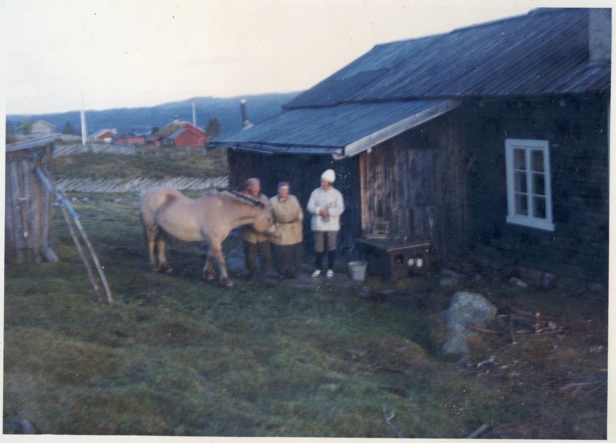 Gruppe
Fra v: Ingeborg og Birgit Renslebråten. Den siste ukjent.
