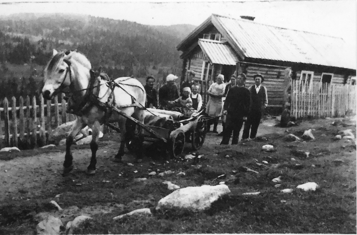 Hesteskyss fra stølen på Bøgaset
Fra høgre: Kjørekar Knut Smette, Halvor Smette, Guro Smette, Ingebjørg Skollerud, Ukjent, Eli Smette og ukjent.
