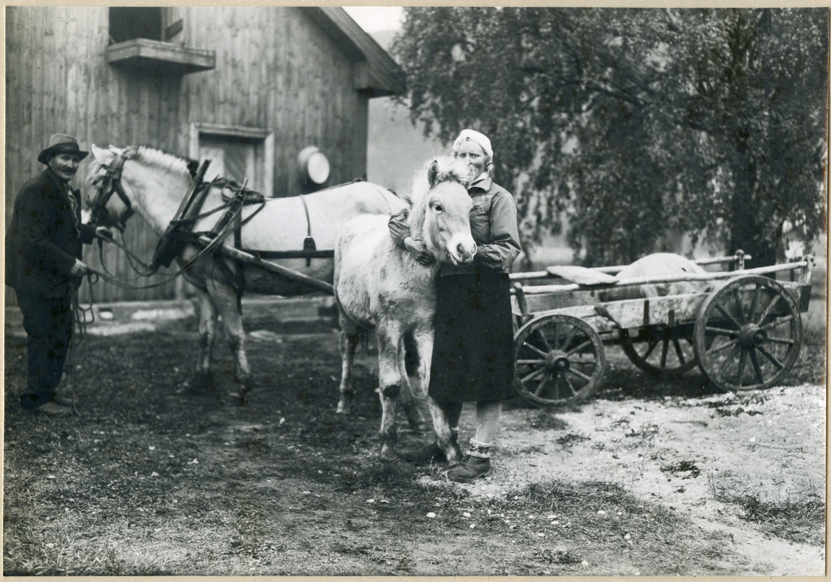 Familie
Steingrim Renslebråten fyller 80 år, 12. oktober 1946.
Ingeborg  Renslebråten foran.

