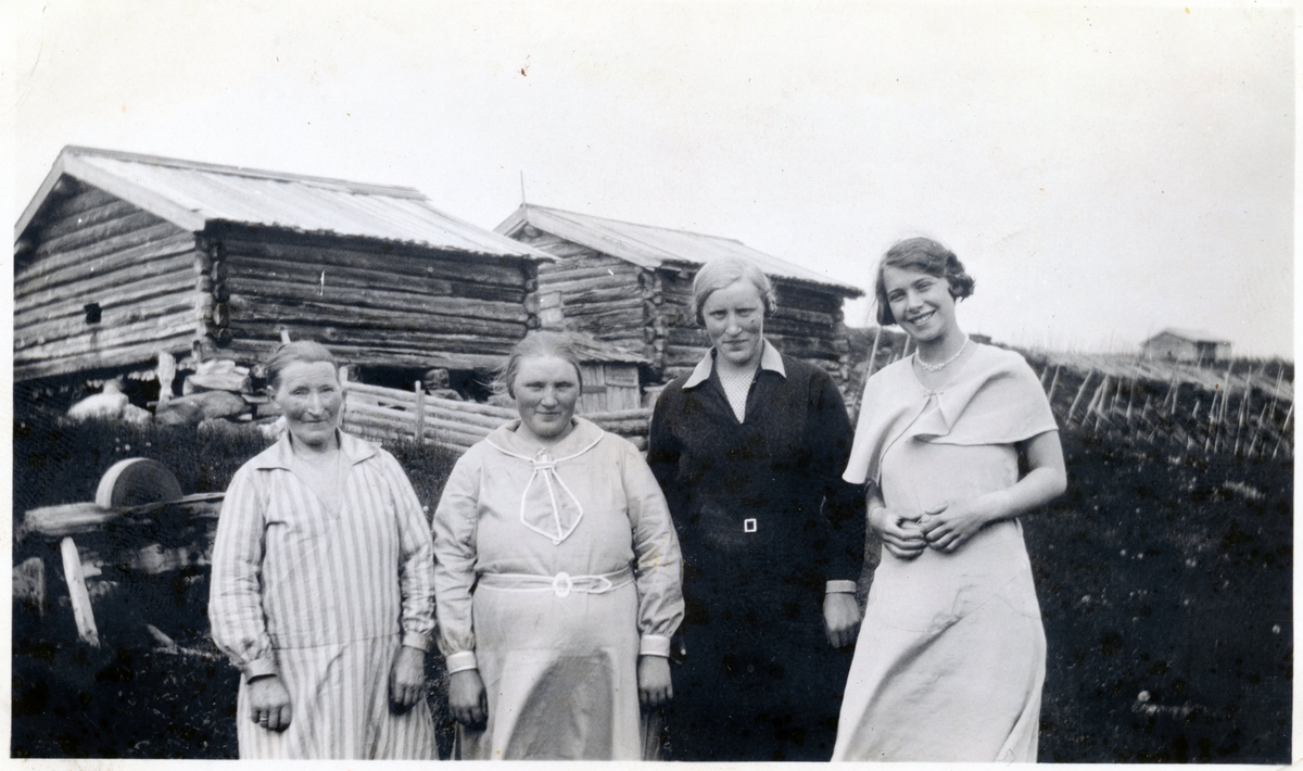 Gruppe på Myking
Gruppe med damer, fra v: Barbo, Birgit og Ingeborg Renselebråten, den siste ukjent.
