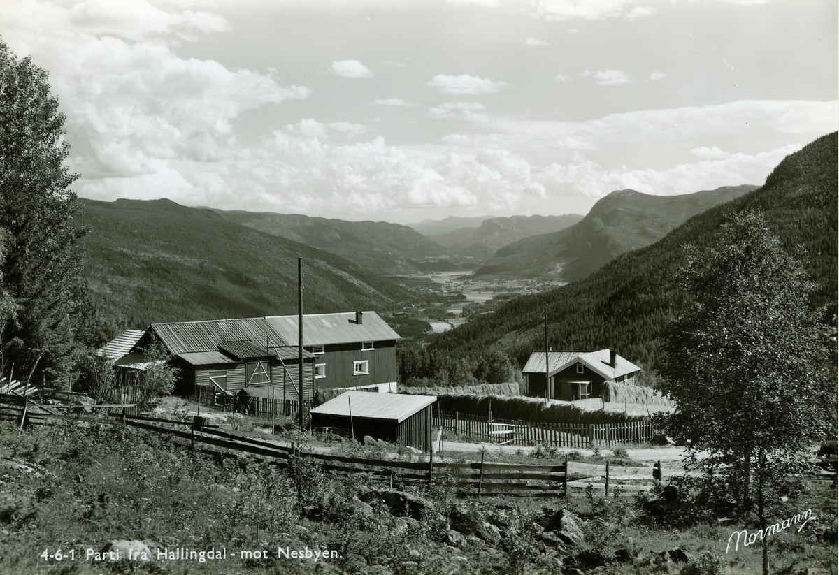 Landskap
Parti fra Hallingdal mot Nesbyen sett fra Garnås i forgrunn &quot¤Brøten&quot¤ Garnås hos Arne Garnås
