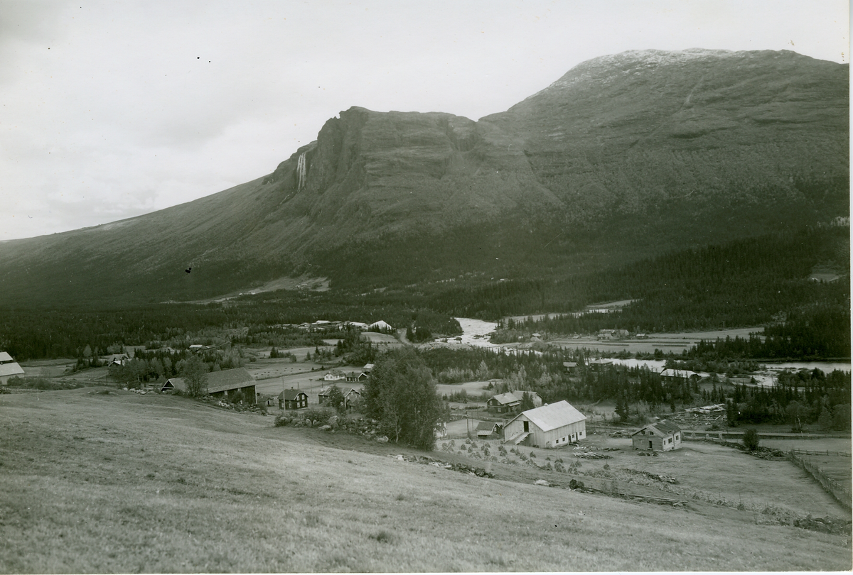 Torset i Hemsedal med Veslehorn i bakgrunn
