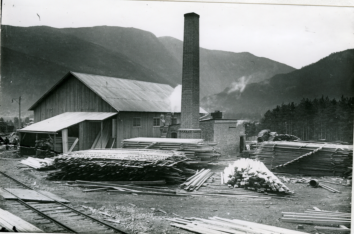 Nes Dampsag og Høvleri starta drifta i 1924 og ble etter hvert en stor arbeidsplass. Bokskog. Bildebok
