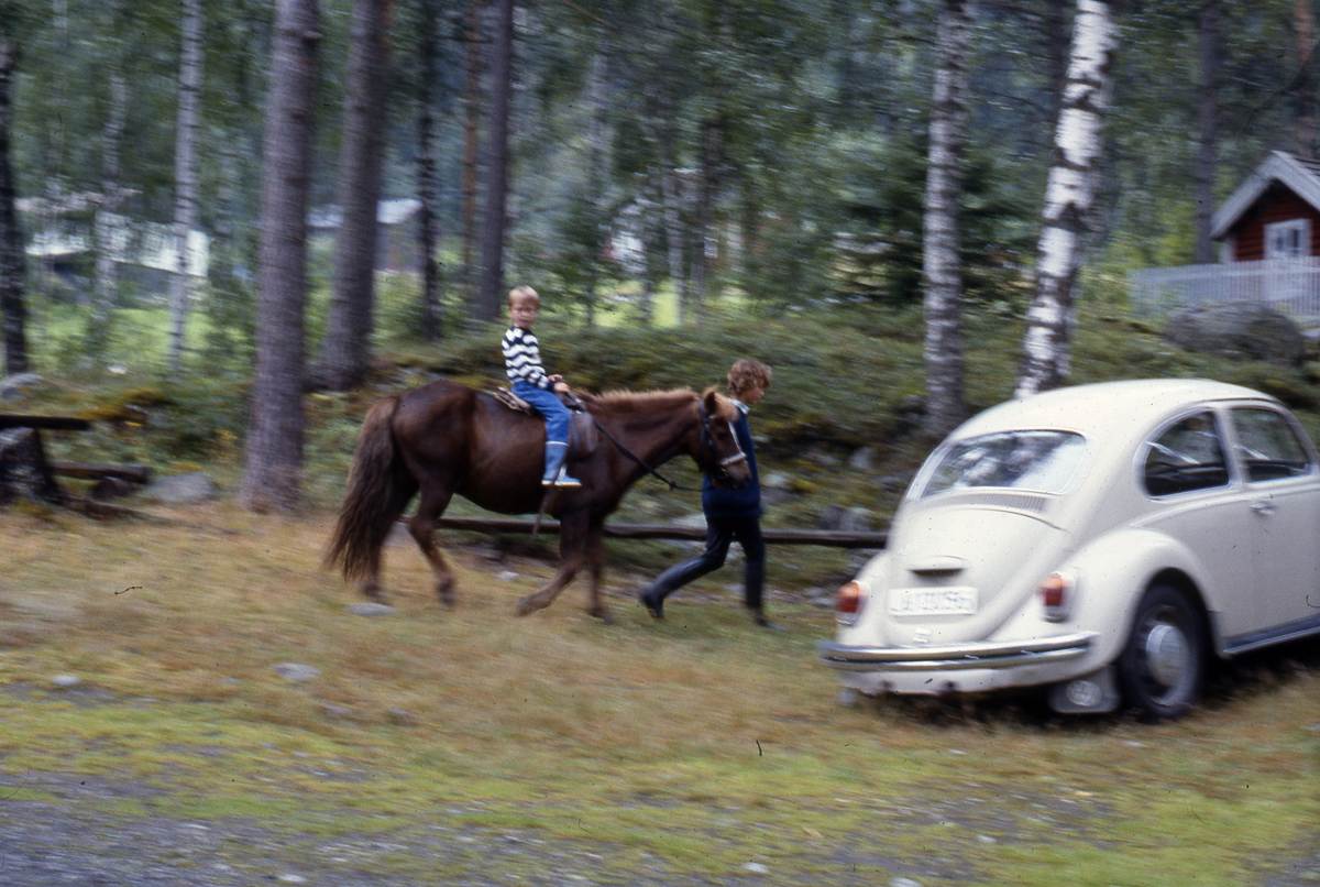 Riding på Hallingdal Museum.
Hest med rytter og bil.
