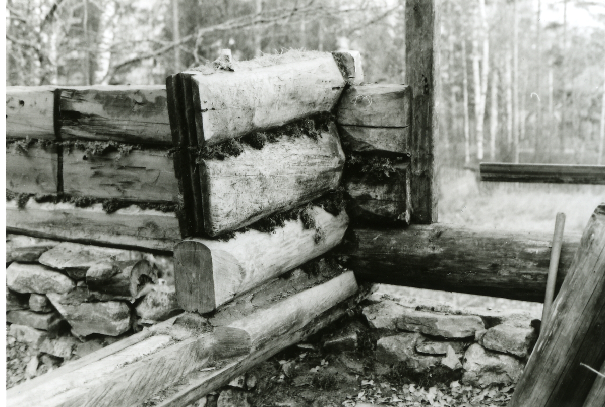 Oppsetting av Thoenstugu på Hallingdal museum Nesbyen
Skillevegg med husmose
