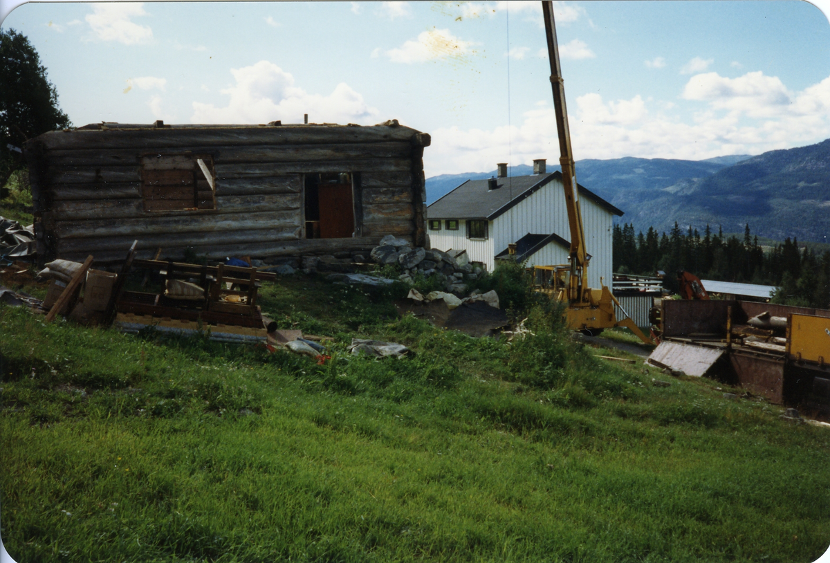Fra Thoen nedaging av Thoenstugu for flytting til Hallingdal Museum Nes der den står idag.den ble flyttet i 1991.
