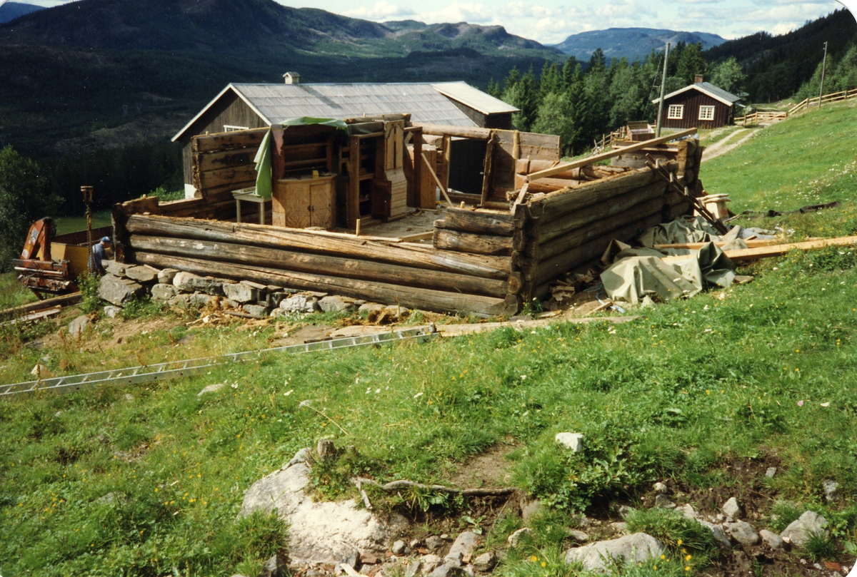 Fra Thoen nedaging av Thoenstugu for flytting til Hallingdal Museum Nes der den står idag.den ble flyttet i 1991.
