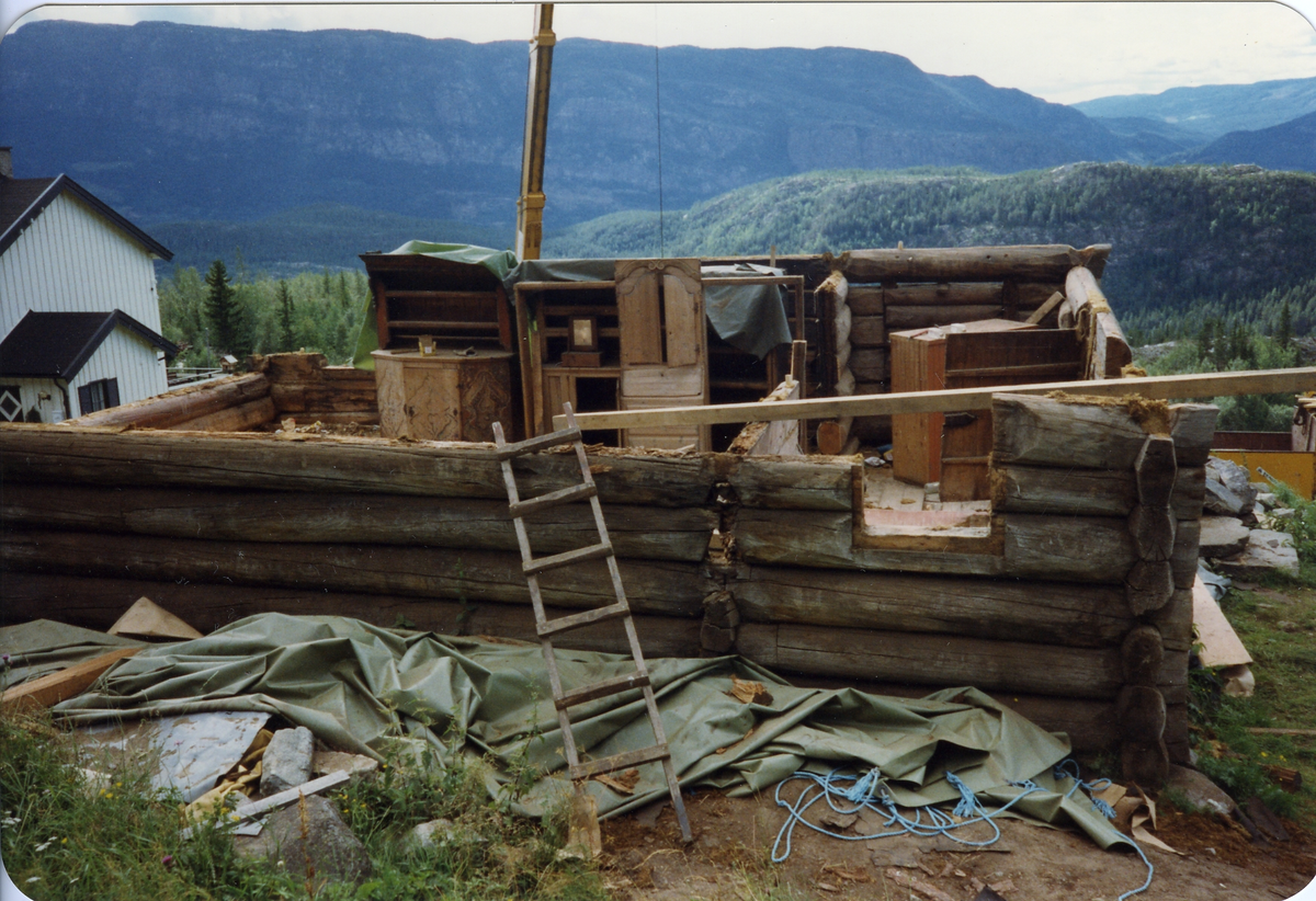 Fra Thoen nedaging av Thoenstugu for flytting til Hallingdal Museum Nes der den står idag.den ble flyttet i 1991.
