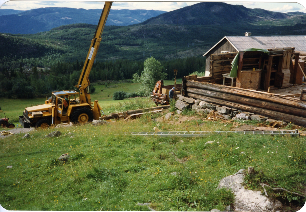 Fra Thoen nedaging av Thoenstugu for flytting til Hallingdal Museum Nes der den står idag.den ble flyttet i 1991.
