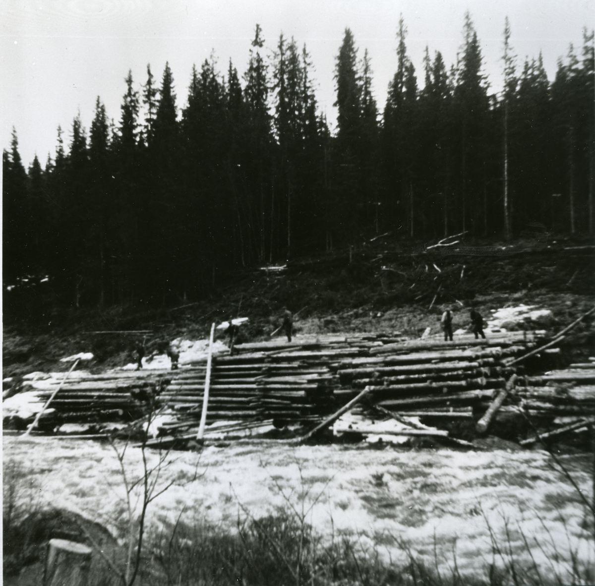 Tømmerfløting i Rukkedøla
