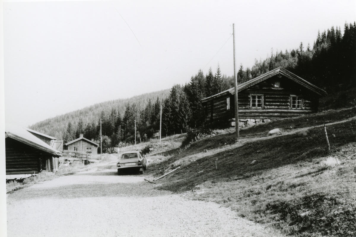 Thoenstugu før den ble flyttet til Hallingdal Museum Nesbyen
