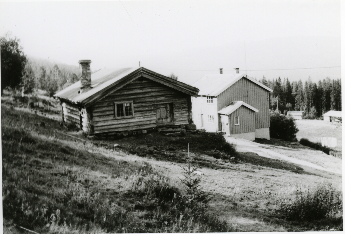 Thoenstugu før den ble flyttet til Hallingdal Museum Nesbyen
