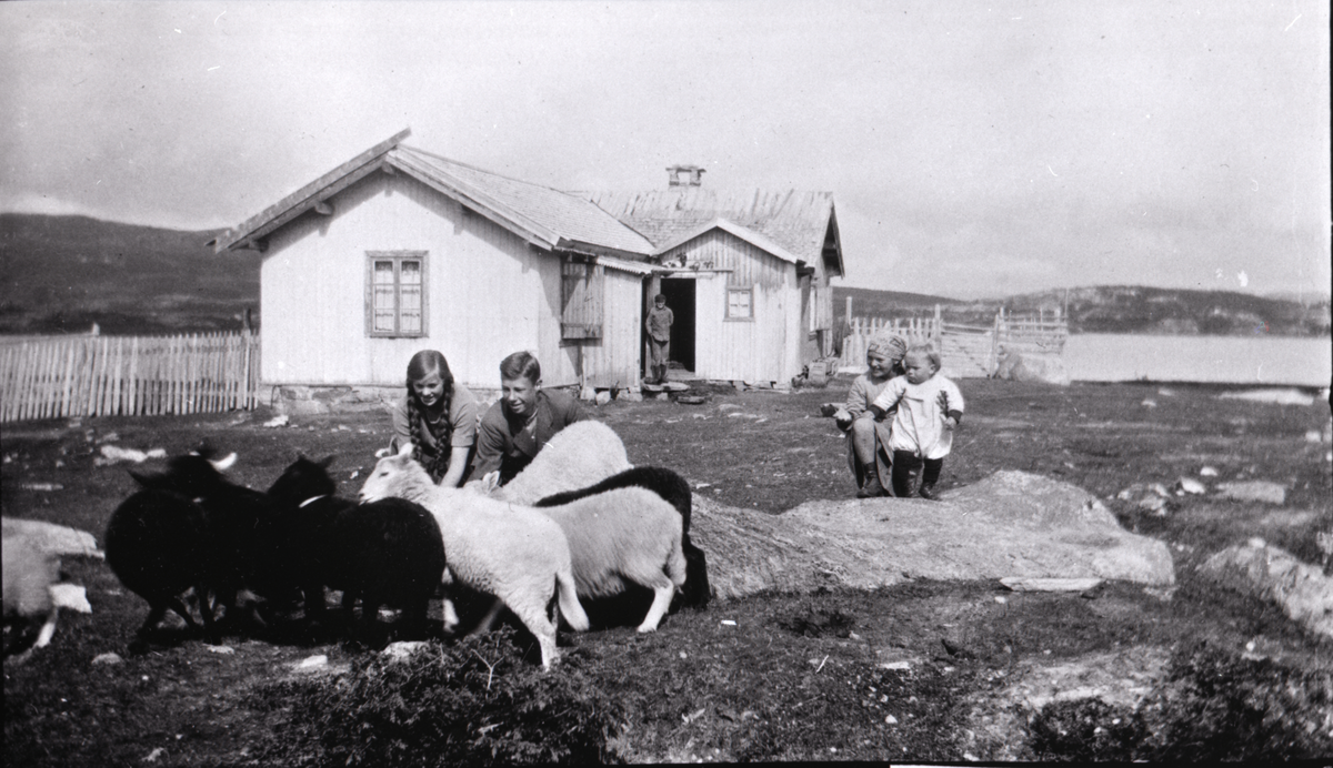 Seterlandskap
Barn og sauer på setervollen, Mylivoll. 
fra v. Gunbjørg Sveinsson, Svein Lunde Sveinsson, Torlaug Sveinsson, John Lunde Sveinsson.
