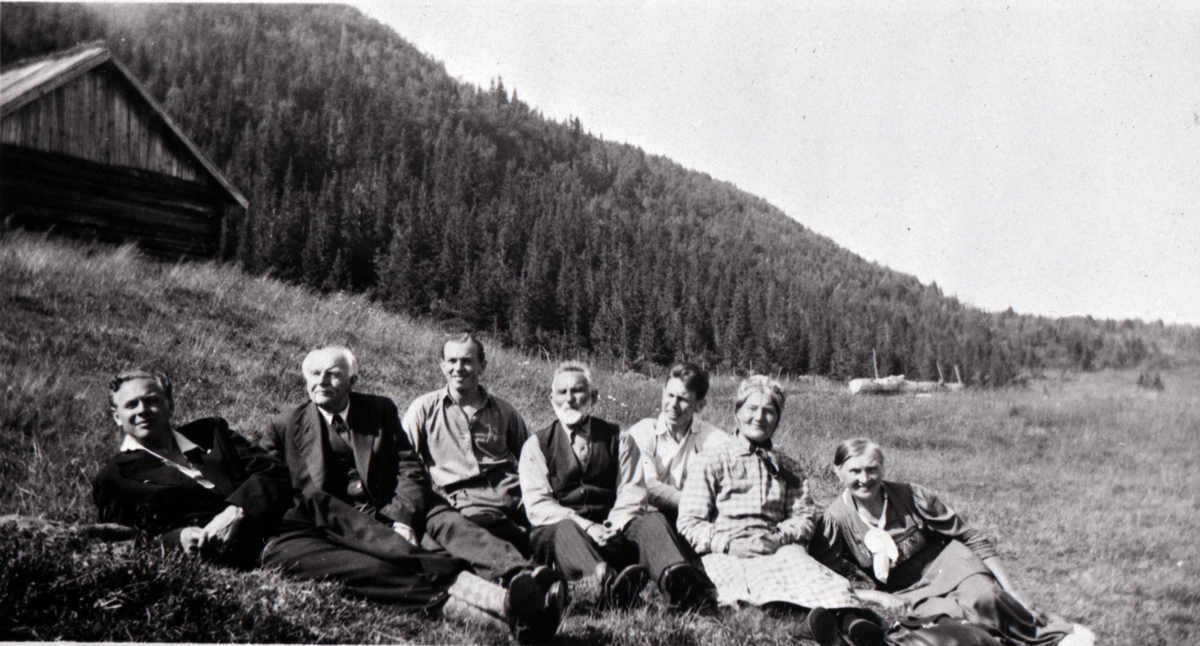 Gruppe på setervollen til Aalton på Tjernset. 
F.v. Bjarne Mikkelsen Sveinsson, Micael Sveinsson, f. Høllo, John Lunde Sveinsson, Halgrim Sveinsson Høllo, Svein Lunde Sveinsson, Kari Jørgensdtr. Høllo og Caroline Lunde Sveinsson.
