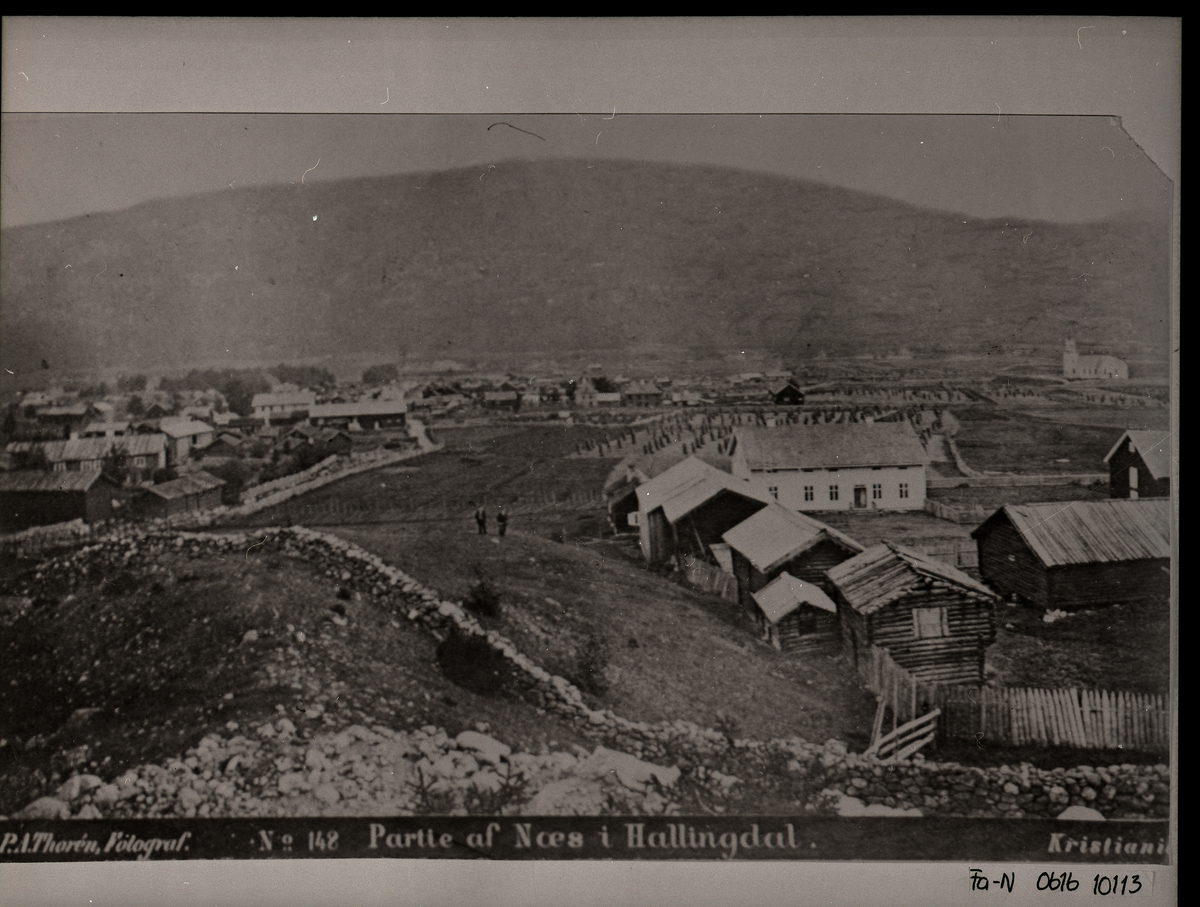 Nesflata
Bilde er tatt fra Prestbakken, til h. i forgrunn Arnegård
P.H. Thorèn tok en av de første bildene av Nes. Han var den første landskapsfotograf i Norge
