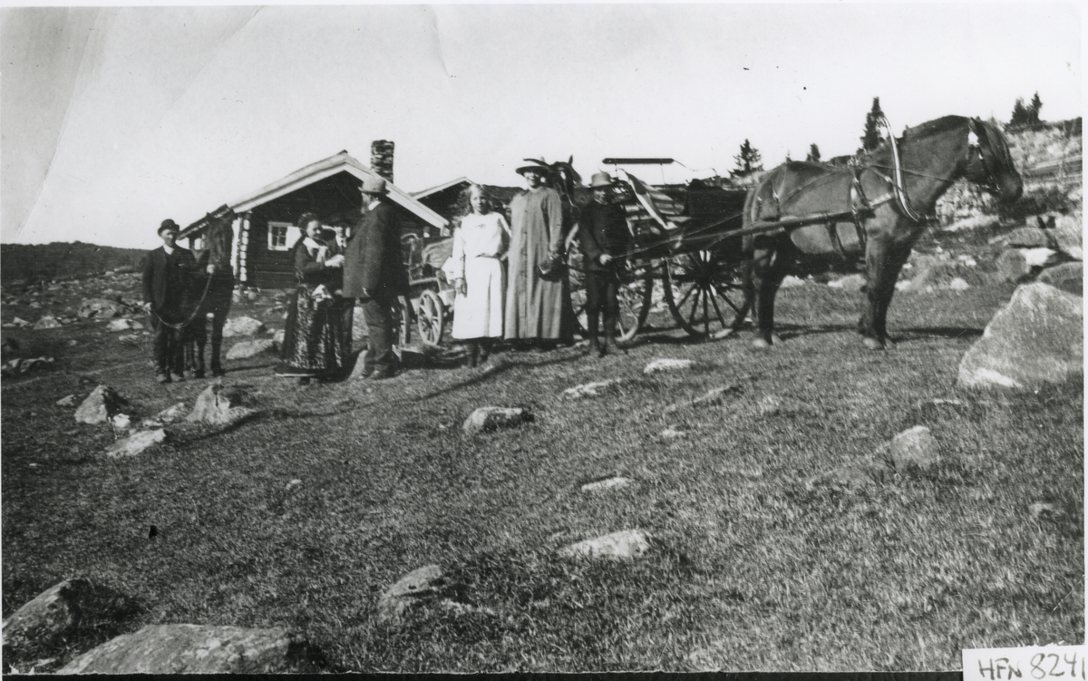Seterdrift/Buføring
Ferdinand Gundersen som eide Krafselia, står under pipa med hatt. Dette er buføring. F.v. Ole Bråten (m.hest), Torgunn Bråten, Halvor Bråten (bak), F. Gundersen, Ingrid Bråten, fru Maja Gundersen og Ragnvald Bråten kjører hesten.
