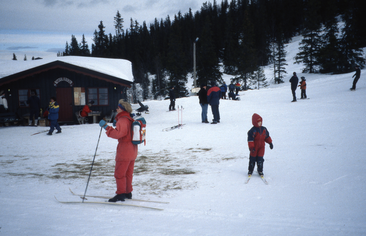 Fjellandskap. Nystølkroken kafè og skiturister.
