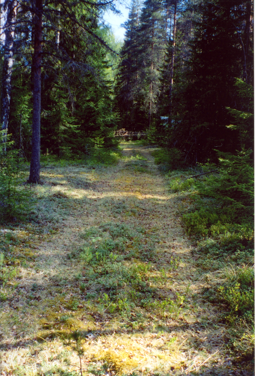 Kongevegen ved Dokken. Den første kjerrevegen gjennom Nes. Kjørbar med hjulredskap fra 1826.
