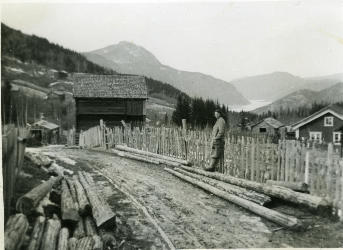 Børtnesøygardane
Gamlevegen ved Heio 1932. På hjemreise fra påsketur på Trøgaset
