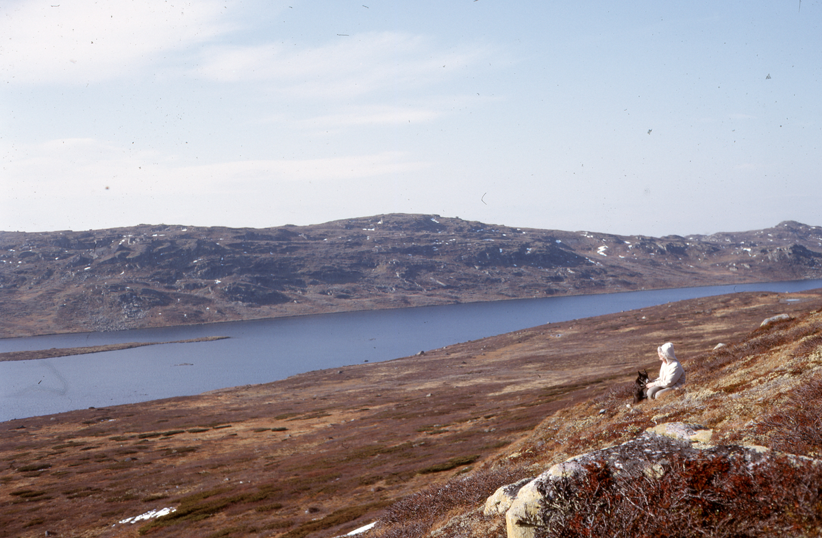 Høyfjellsnatur
Bildet er tatt på østsiden av Reinsjøen og vestover mot Reinsjøfjell. Vi ser litt av Langøen. Høyeste topp på Reinsjøfjell er på 1312 moh. Korpenatten i høyre bildekant.
