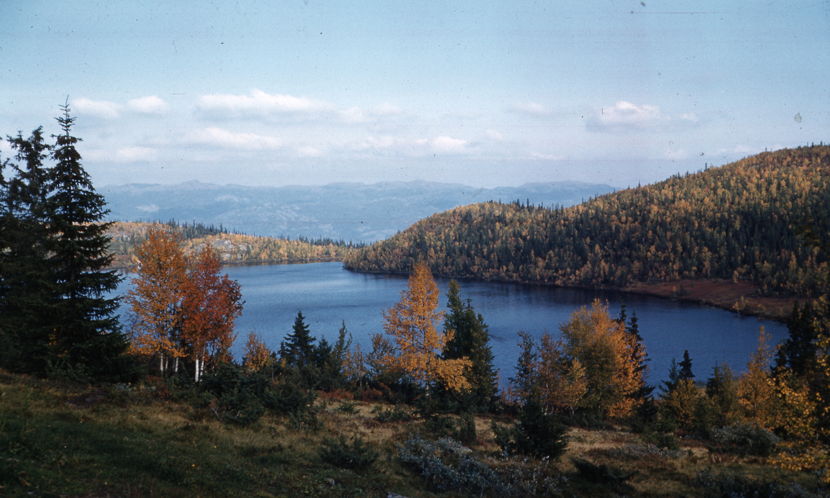 Fjellandskap med fjellvann
Bildet er tatt fra øverst på Dokkevollen på Myte i Børtnesmarka slik det vanligvis ser ut midt i september. Vi ser østover mot fjellene ovenfor Bergheim i ytre Nes. Seterlaget Myte ligger ca 900 moh og Mytevann på ca. 880 moh.
