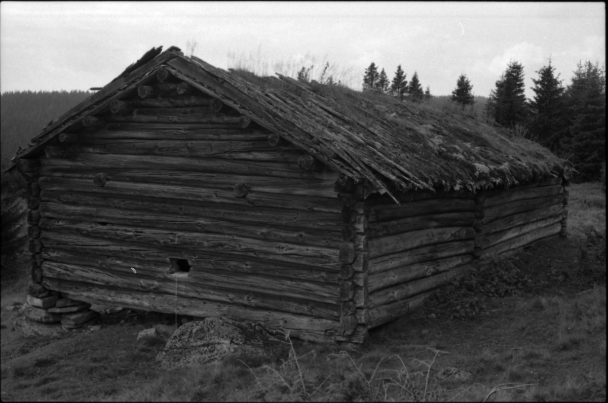 Gammelt fjøs i Rukke, Langsletvoll.
