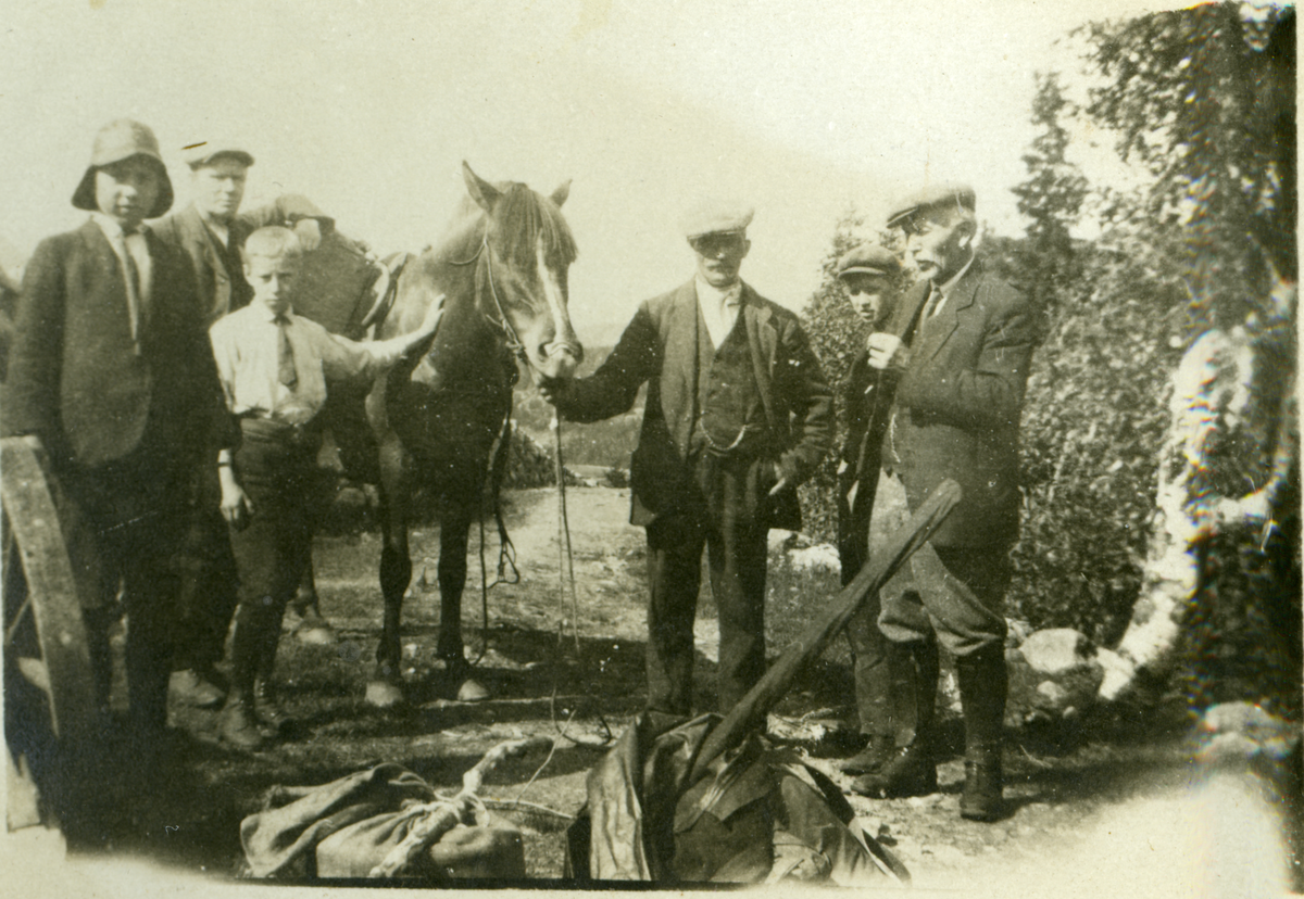 Bygdevegen ved Hankenhusbakken i Børtnesødegårdene. F.v. Svein Lunde Sveinsson (1906-1988), Kurt Schrøder(bymann), Odd Schrøder (bygutt), en fin hest, hestekar Halgrim Malstenbråten (1874-1961), sønnen Bernhard Malstenbråten (1900-1974) og Olav Sveinsson f. Høllo (1854-1927). Lærer Olav Sveinsson med familie tilbrakte sommerferier på Søre Buhovd i årene 1914-1920. Her er de nok på veg innover. Familien Schrøder var venner fra Kristiania. Bygdevegen ved Hankenhusbakken i Børtnesødegårdene. 
F.v. Svein Lunde Sveinsson (1906-1988), Kurt Schrøder(bymann), Odd Schrøder (bygutt), en fin hest, hestekar Halgrim Malstenbråten (1874-1961), sønnen Bernhard Malstenbråten (1900-1974) og Olav Sveinsson f. Høllo (1854-1927).
