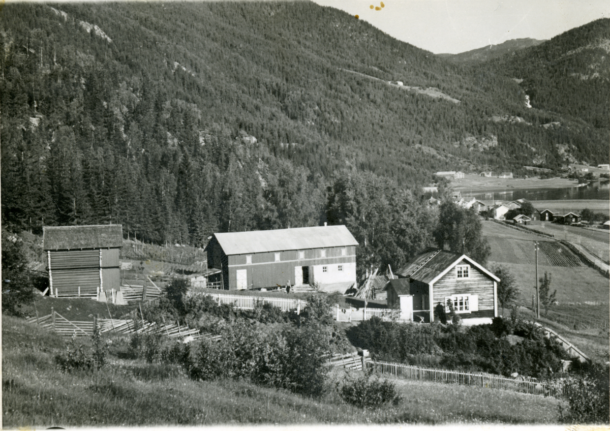 Gårdsbruk
Bakkene/Bakko på Børtnes ( Bakko)
