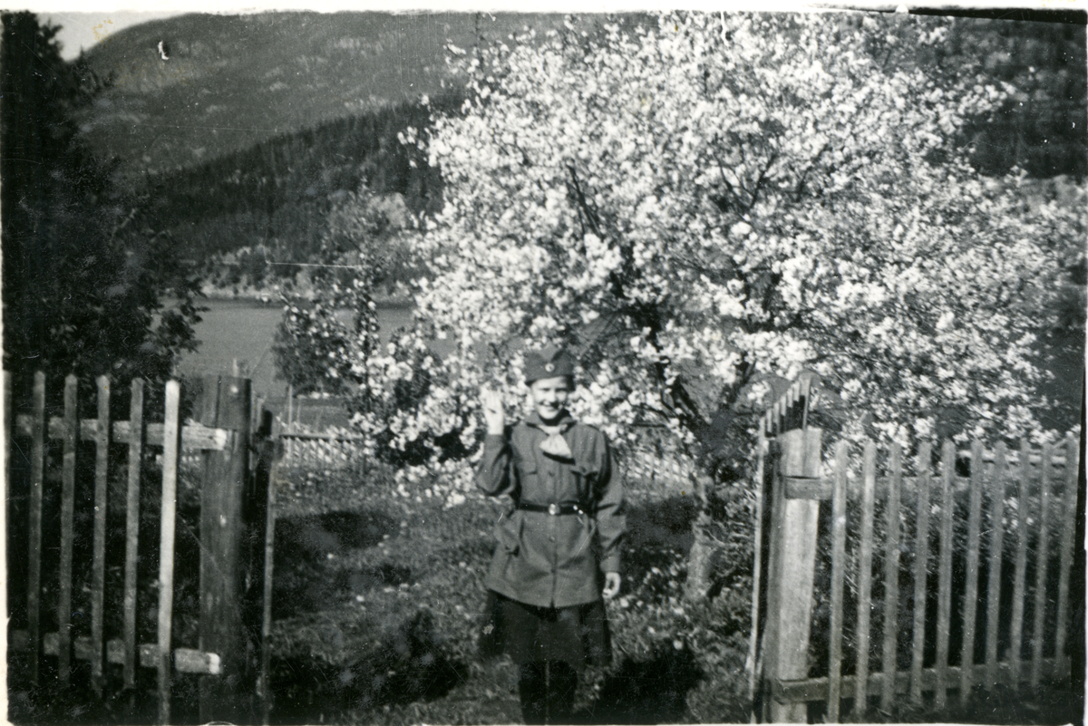 Frukttre
Ingeborg Nordhagen i speiderdrakt foran frukttre i full blomst.
