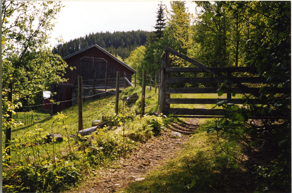 Gammel veien opp til Bøgaset ved  grinda til Nedre Vissebråten.
