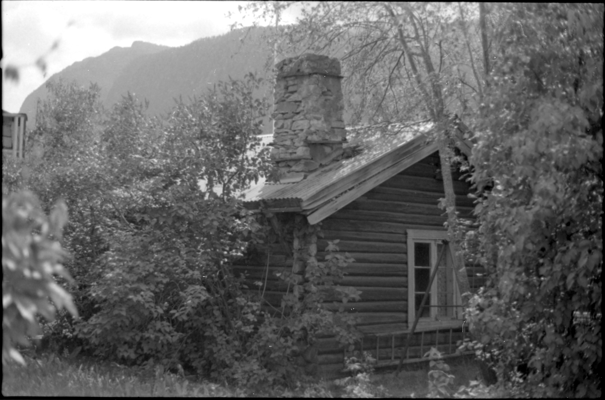 Huset til Olsen og Halvorsen. Dette huset lå i hagen bak Bjørnsenhuset.
